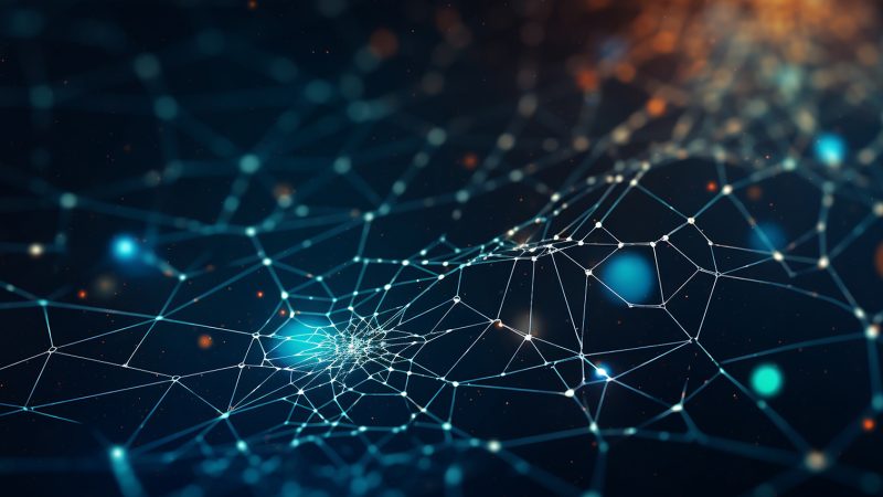 Web of Connectivity: An Intricate Spider Web Representing Intern